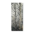Trademark Fine Art Roderick Stevens 'Aspen Winter Panel 01' Canvas Art, 10x19 RS875A-C1019GG